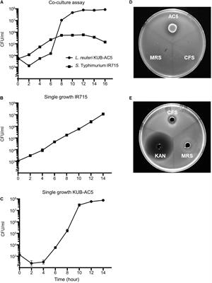 Anti-inflammatory Effect of Probiotic Limosilactobacillus reuteri KUB-AC5 Against Salmonella Infection in a Mouse Colitis Model